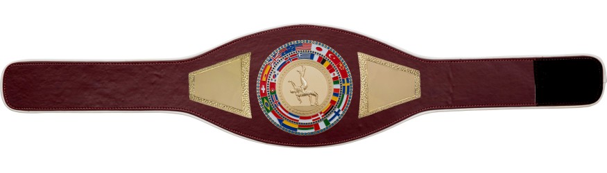 WRESTLING CHAMPIONSHIP BELT-PROFLAG2/FLAG/G/WRESTG - VARIETY OF LEATHER COLOURS AVAILABLE WRESTLING CHAMPIONSHIP BELT-PROFLAG2/FLAG/G/WRESTG - VARIETY OF LEATHER COLOURS AVAILABLE